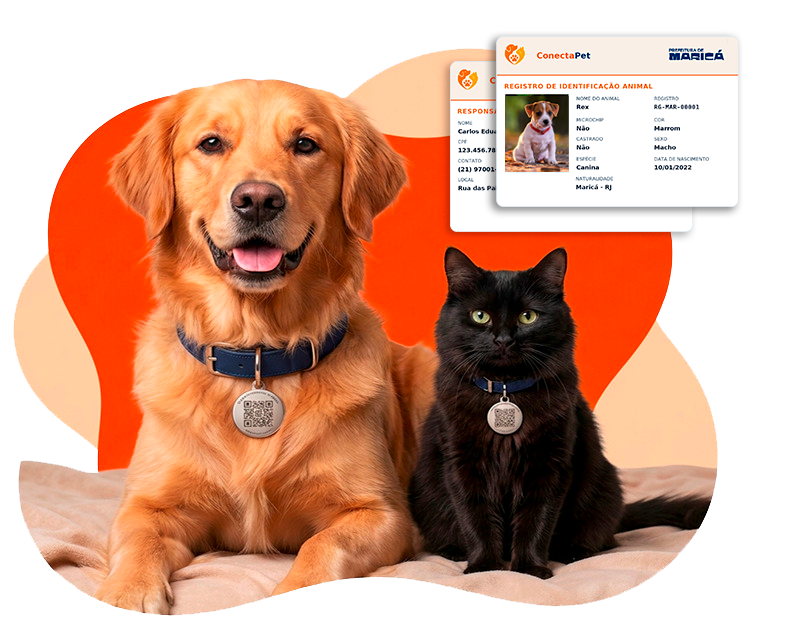 Cachorro e gato com carteira de identidade pet